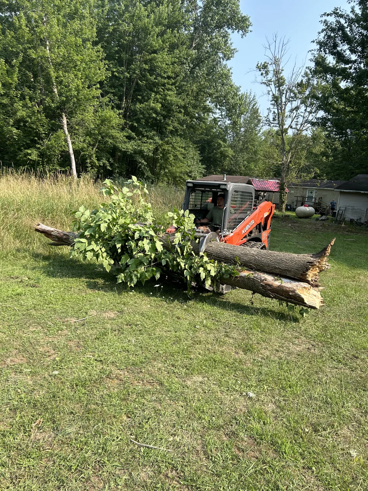 Compact track loader moving a felled tree trunk and brush